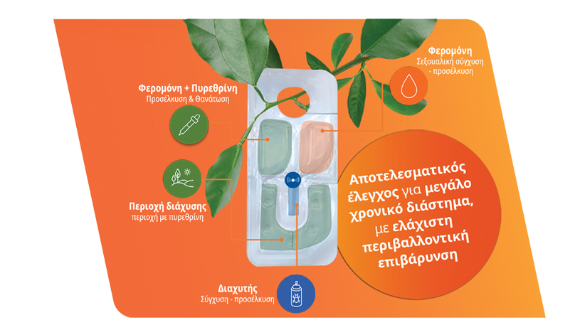 ArticleVYNYTY CITRUS_Image_03.png